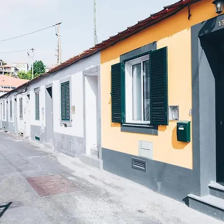 Yellow Townhouse And Terrace * Funchal (Madeira)