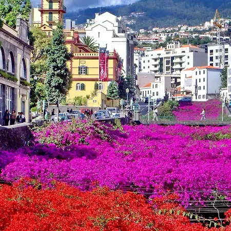 Yellow Townhouse And Terrace * Funchal (Madeira)