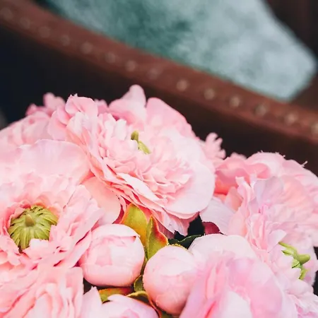 Сasa de vacaciones Yellow Townhouse And Terrace *