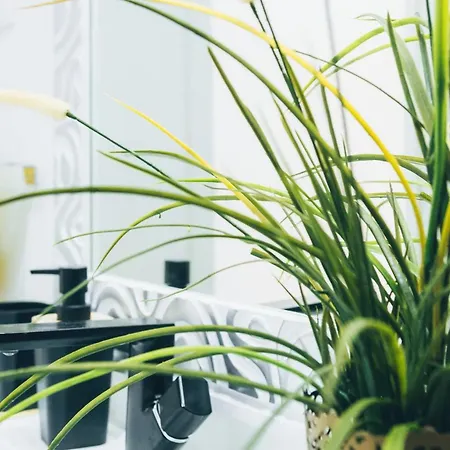 Сasa de vacaciones Yellow Townhouse And Terrace