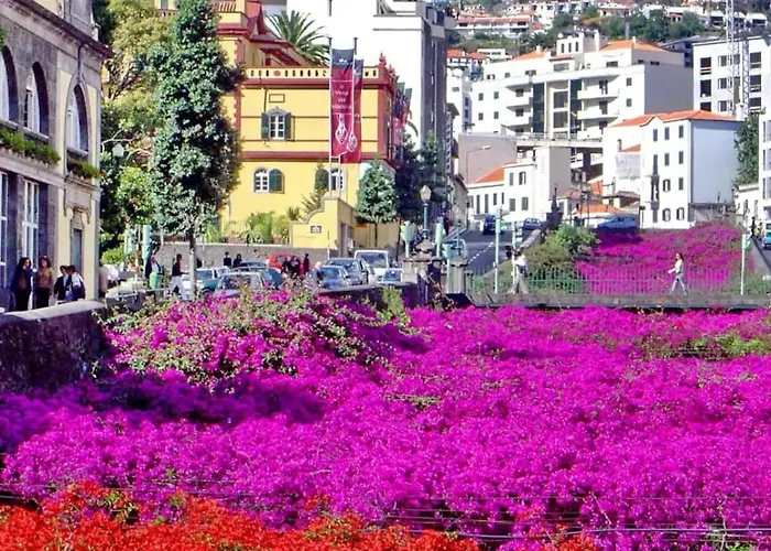 Yellow Townhouse And Terrace * Funchal (Madeira)