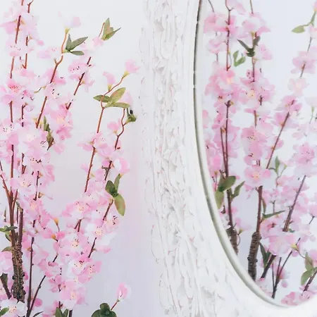 Yellow Townhouse And Terrace